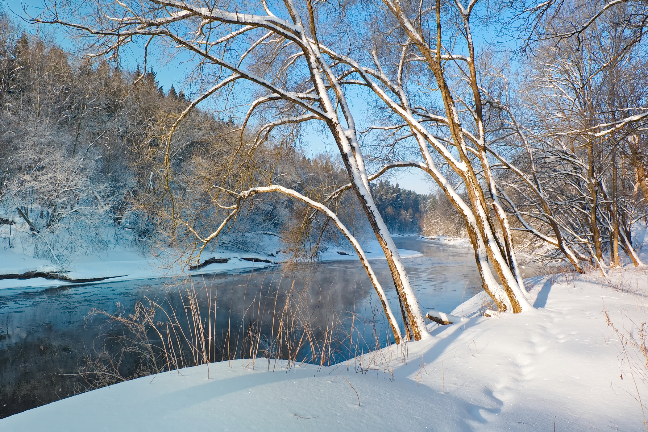река, лучёса, витебск, зима, мороз, снег, солнце, Виктор Гурков