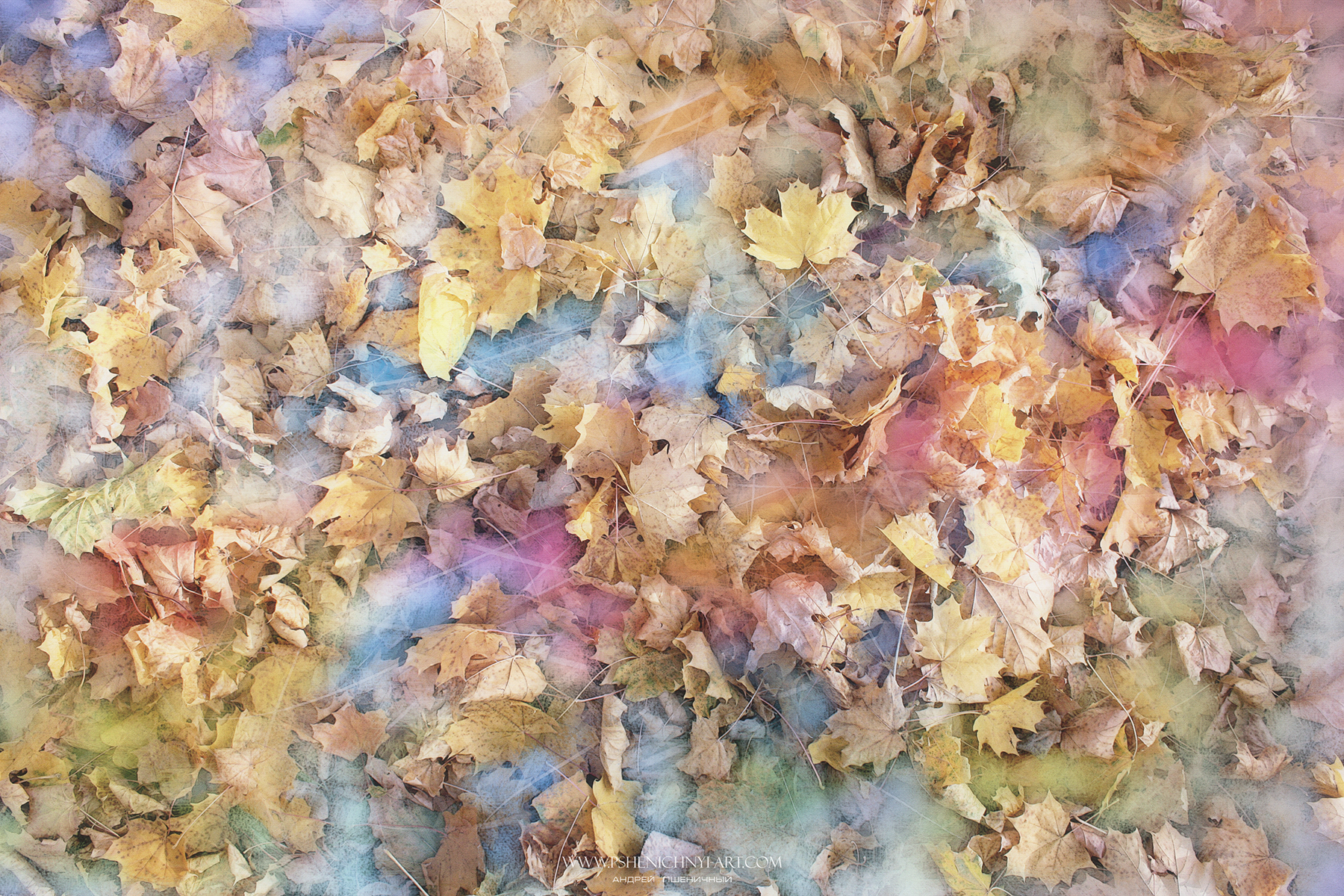 осень, опавшие листья, клён, акварель, абстракция, свет, палитра, осколки, октябрь, Пшеничный Андрей