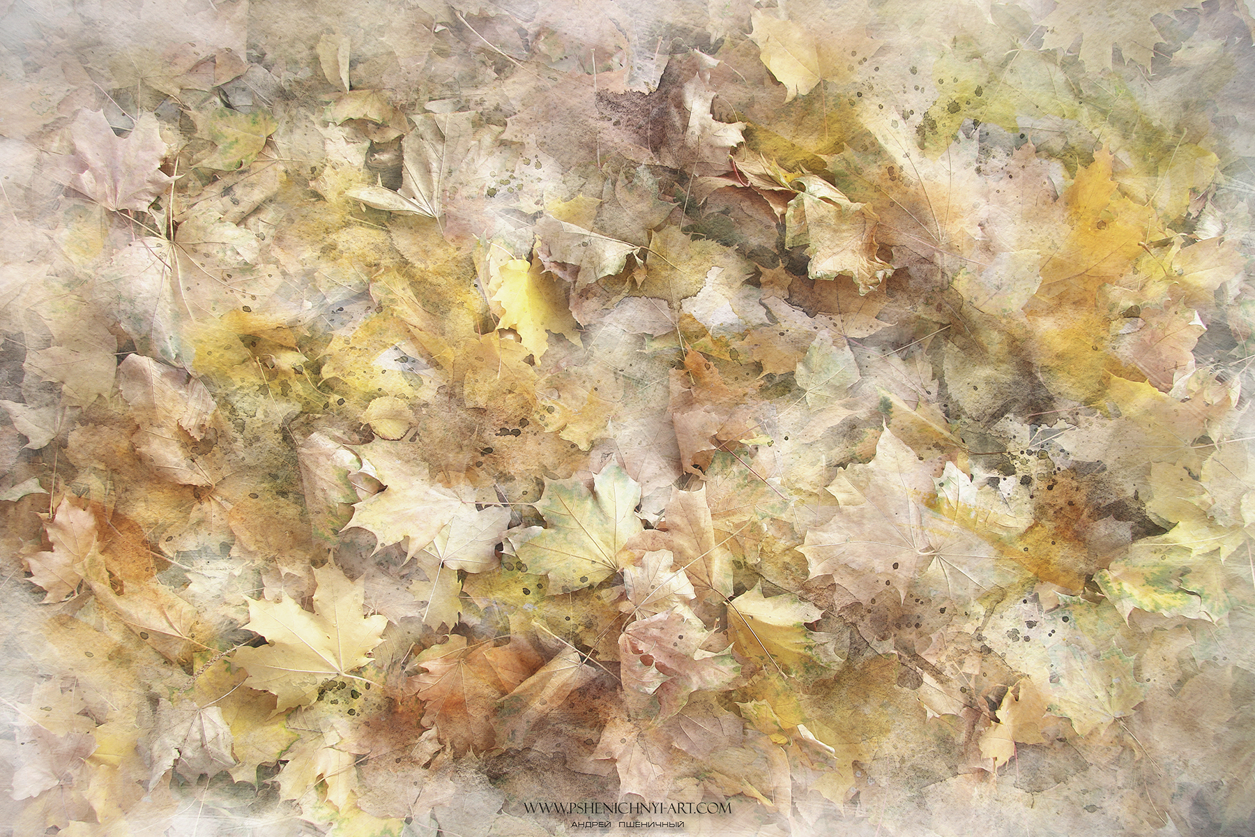 осень, опавшие листья, клён, акварель, абстракция, минимализм, октябрь, Пшеничный Андрей