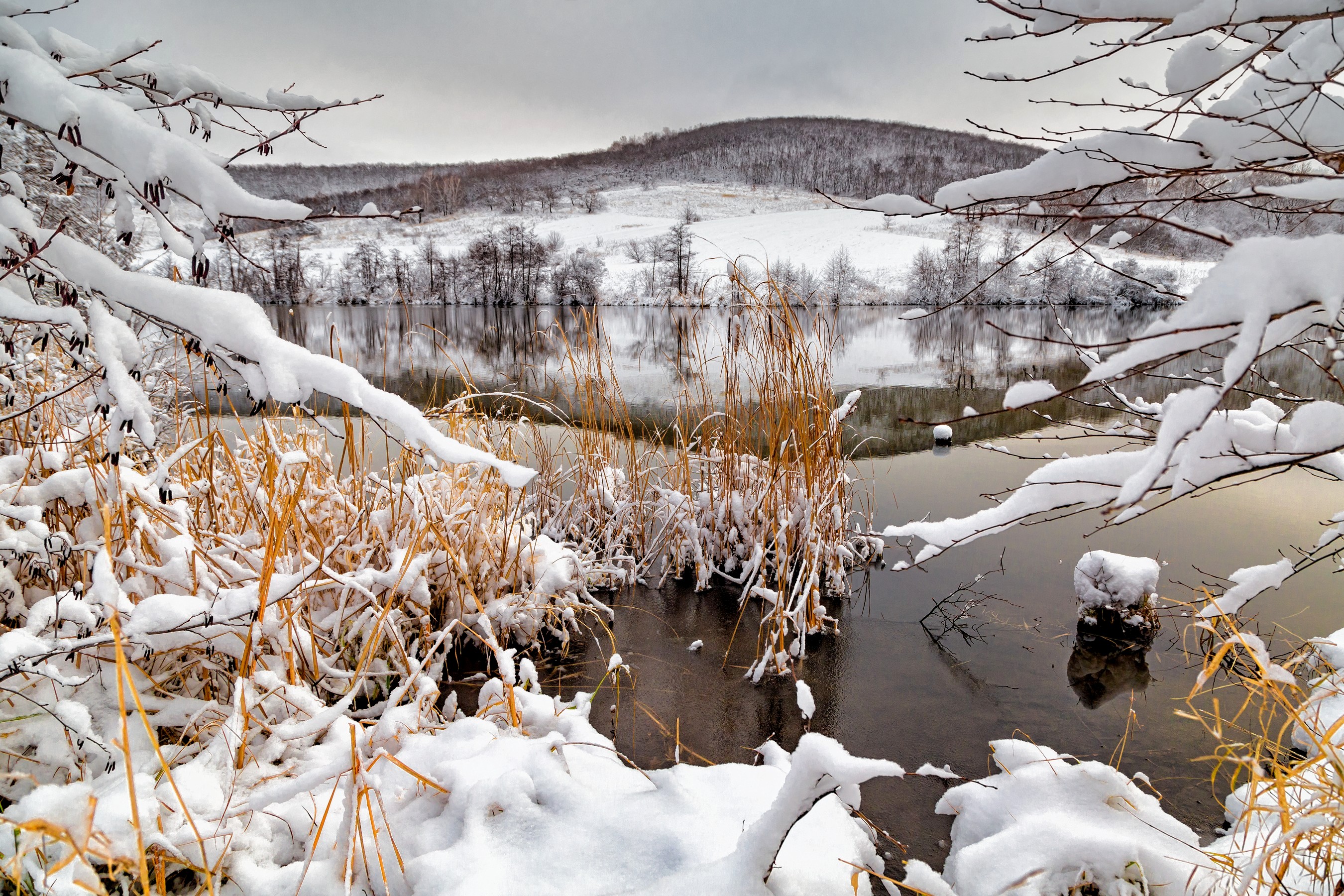 Январь году начало зимы. Начало зимы фото. Логачев начало зимы. Когда начинает светлеть зимой. Зима по мнению Яндекса фото.