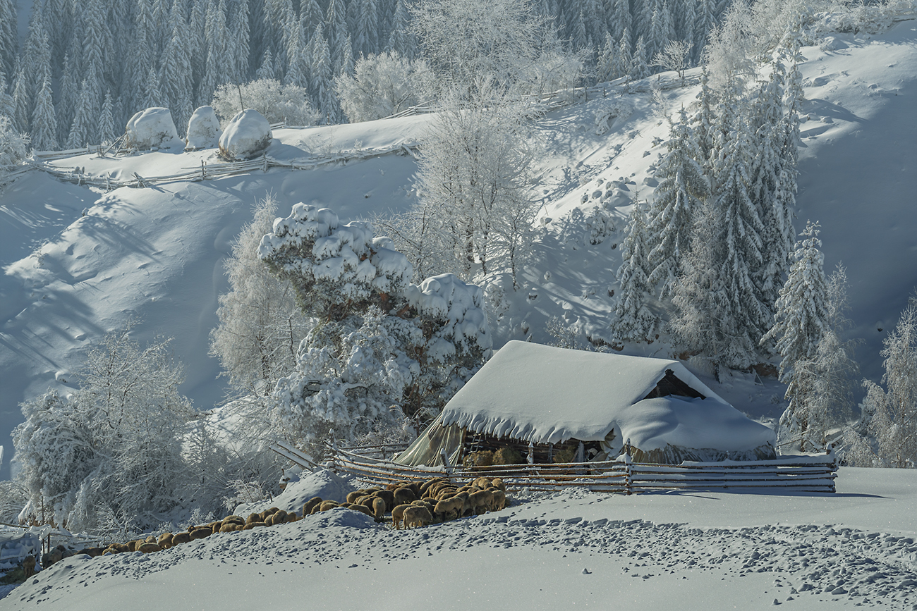 landscape, nature, scenery, oldhouses, village, snow, winter, colors, mountain, rodopi, bulgaria, Александров Александър