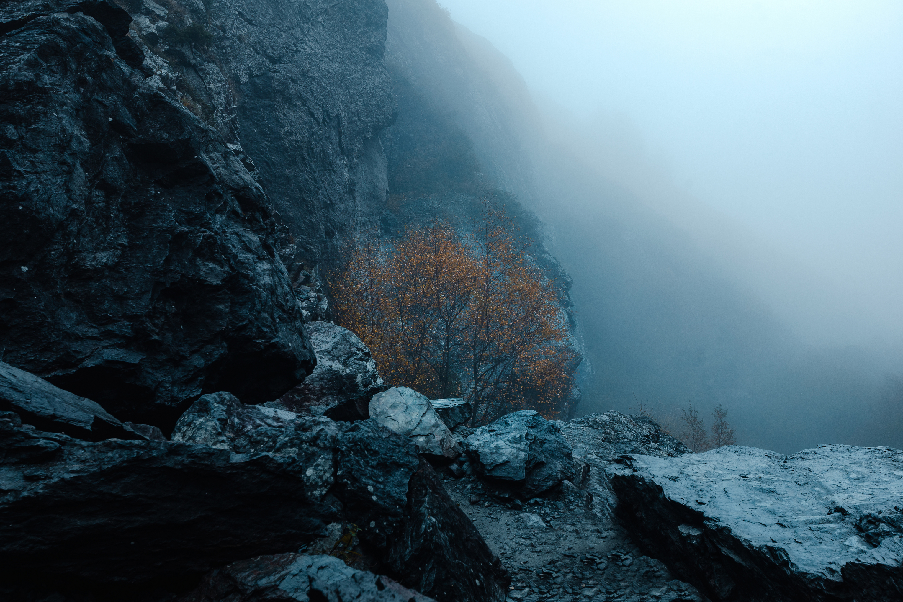Осень, грузия, скалы, ущелье, дерево, Влад Рябинин