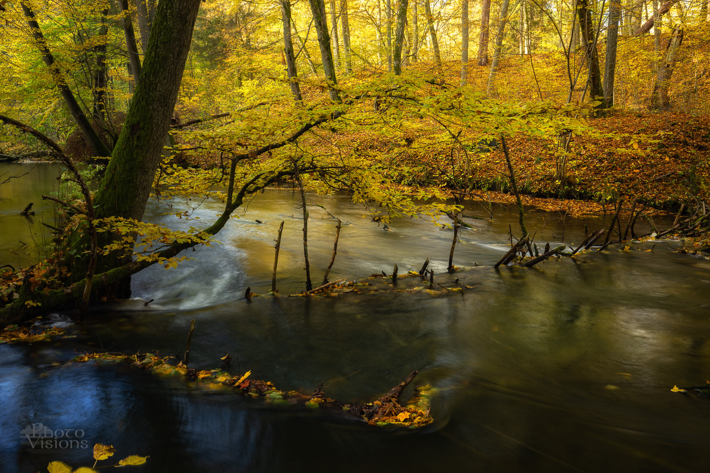 autumn,autumnal,reflections,forest,colorful,woods,woodland,nature,, Photo Visions