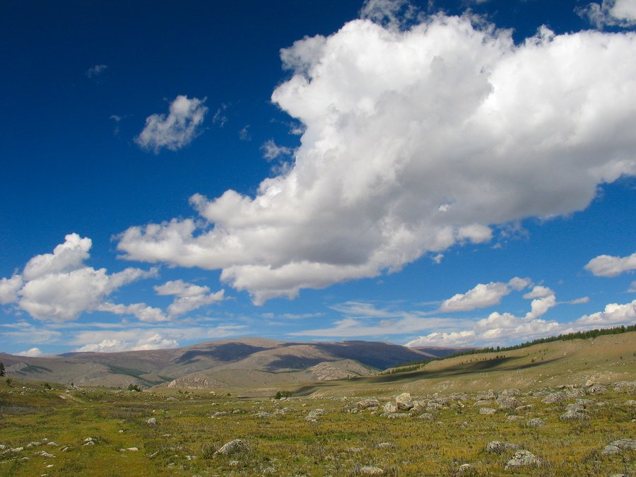 Монголия, степь, холмы, облака, небо, Олег Шубаров