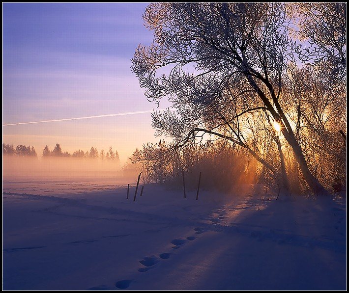 Зима, февраль, рассвет , туман, солнце, озеро, снег, Григорий Иващенко