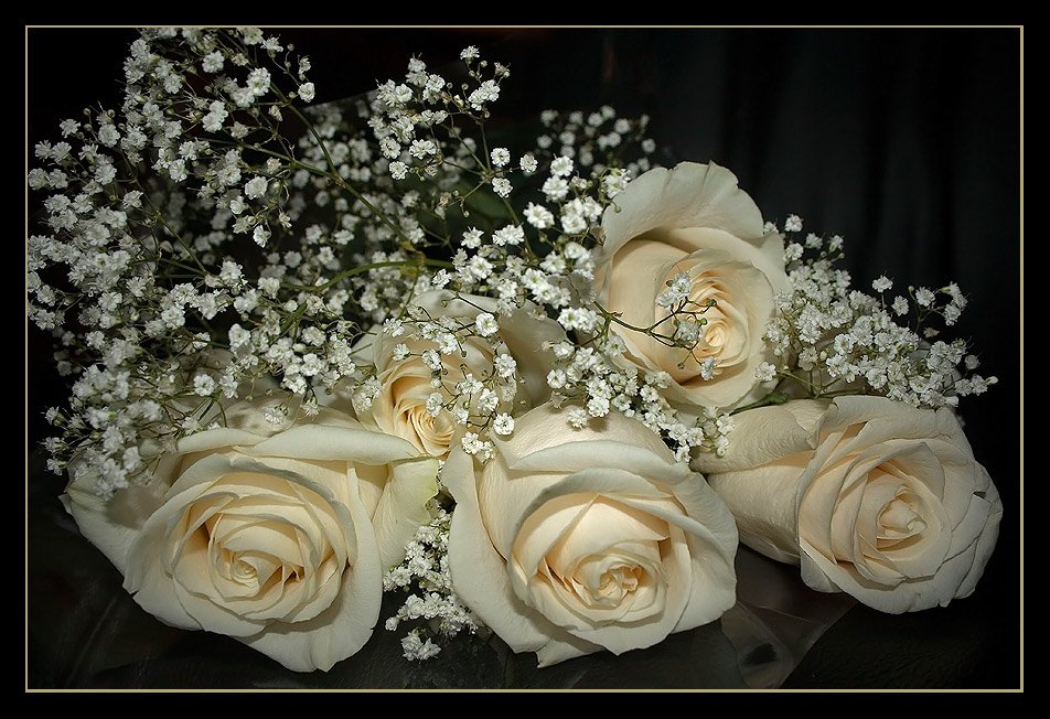 роза, розы, чайная, букет, цветы, праздник, запах, 8, марта,, GALENYA