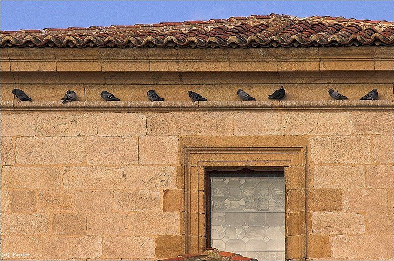 Испания, Замора, окна, птицы, Andrey N. Sliozberg
