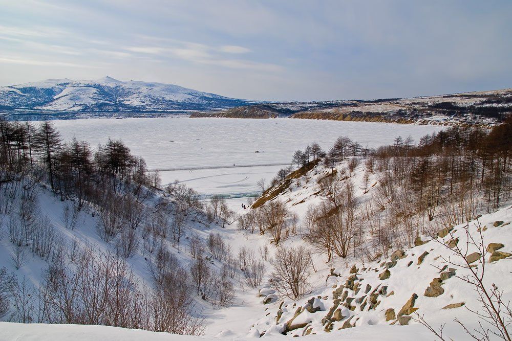 магадан, гертнера, Voldemar