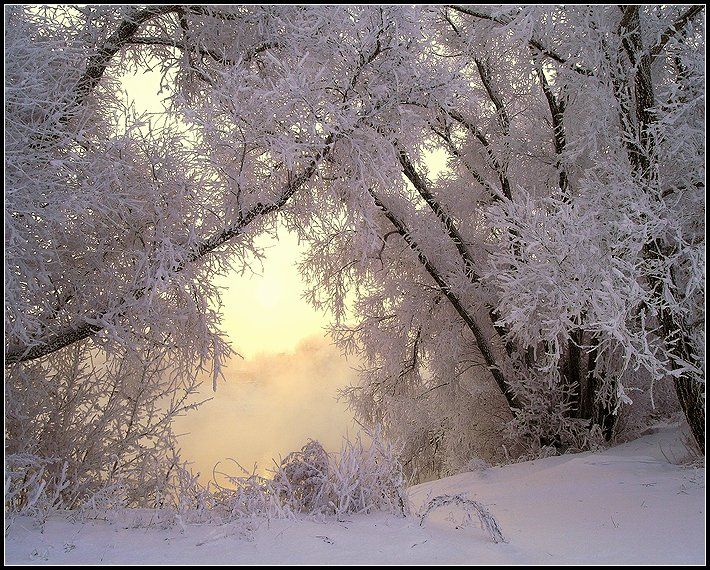 зима, февраль, рассвет , туман, солнце, озеро, снег, Григорий Иващенко