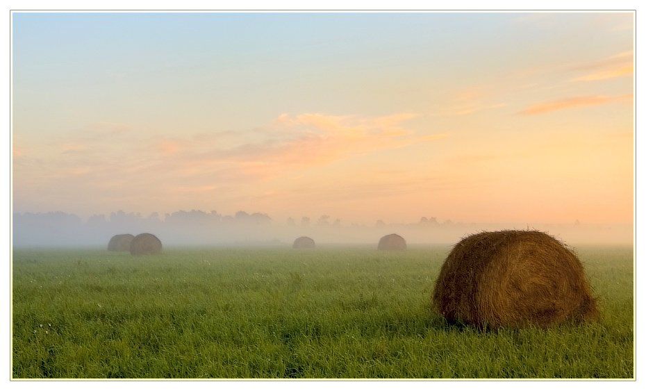 поле, стога, утро, туман, роса, Евгений Гаганов
