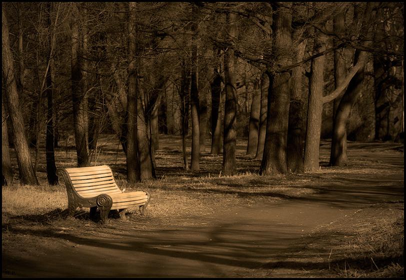 скамейка парк деревья, Петрова Мария
