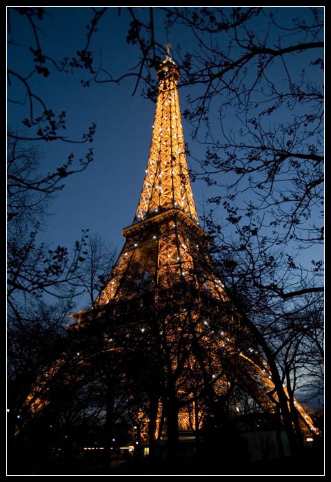 париж франция эйфелева башня, Алексей Войницкий