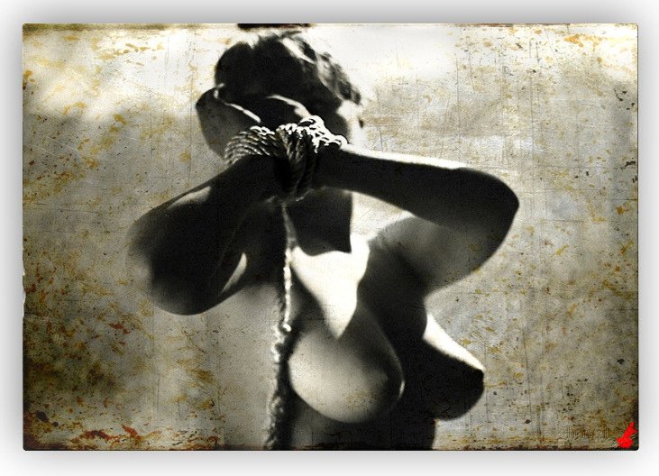 dedal's studio, Dedal