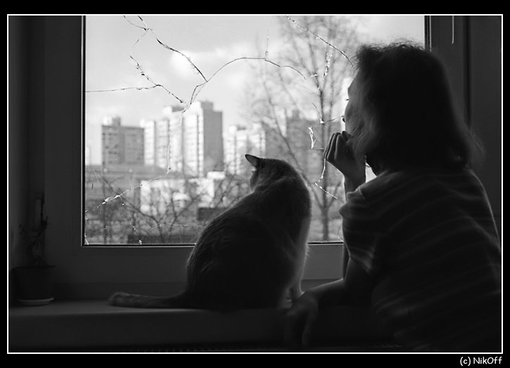 девушка, кошка, окно, осколки, NikOff (Юрий Руднев)