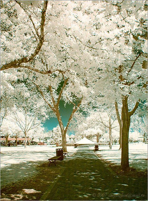 ик, инфракрасное, infrared, Pilgrim