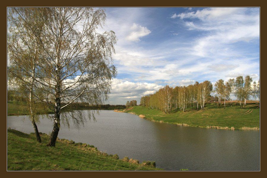 весна, пруд, облака, береза, Георгий