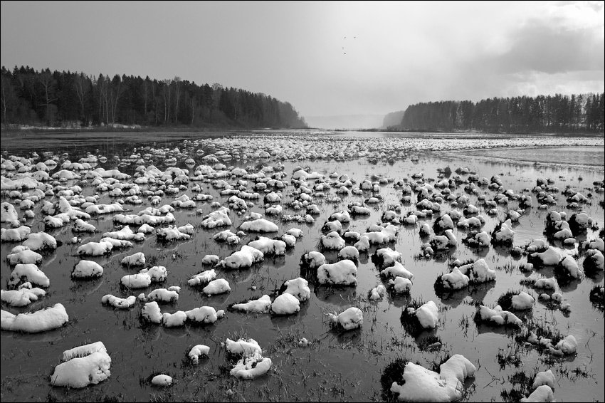 весна, Сергей Чубаров