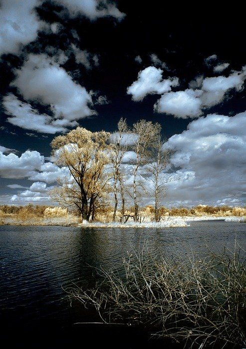ик, пейзаж, вода, апрель, Марк Пономаренко