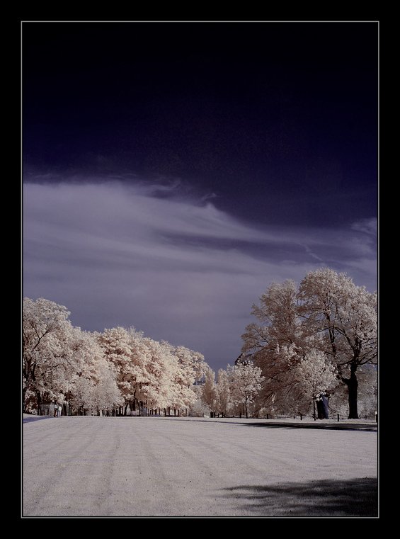 infrared, ик, Капустин Николай