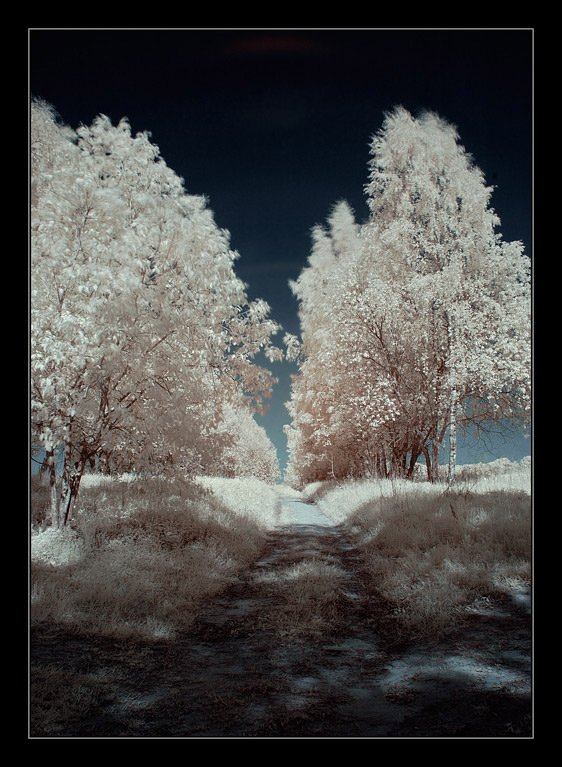 infrared, ик, инфра, Капустин Николай