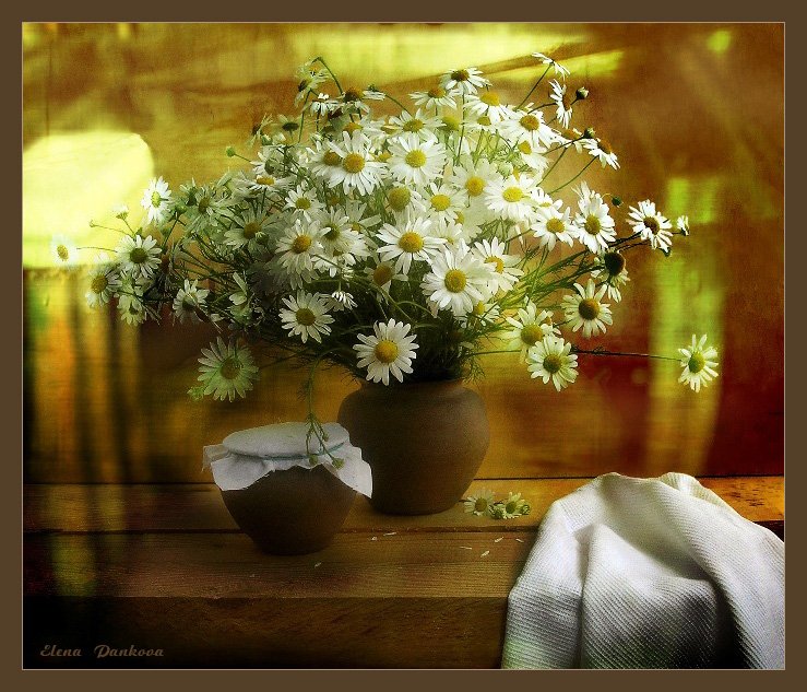 натюрморт, лето, цветы, ромашки, Elena Pankova