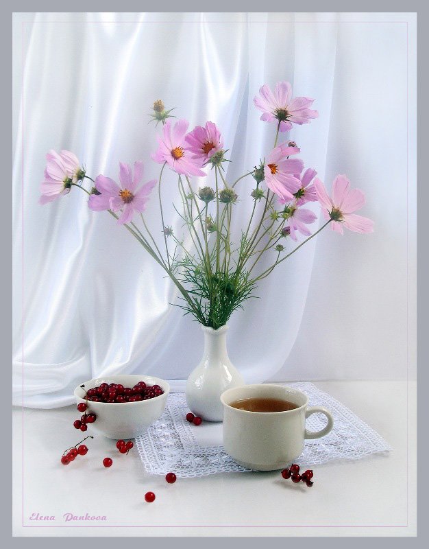 натюрморт, цветы, космея, утро, чай, Elena Pankova