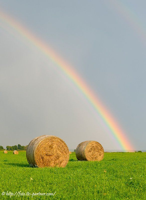 лето, поле, катушки сена, двойная радуга, Partner (Андрей Алексеев)