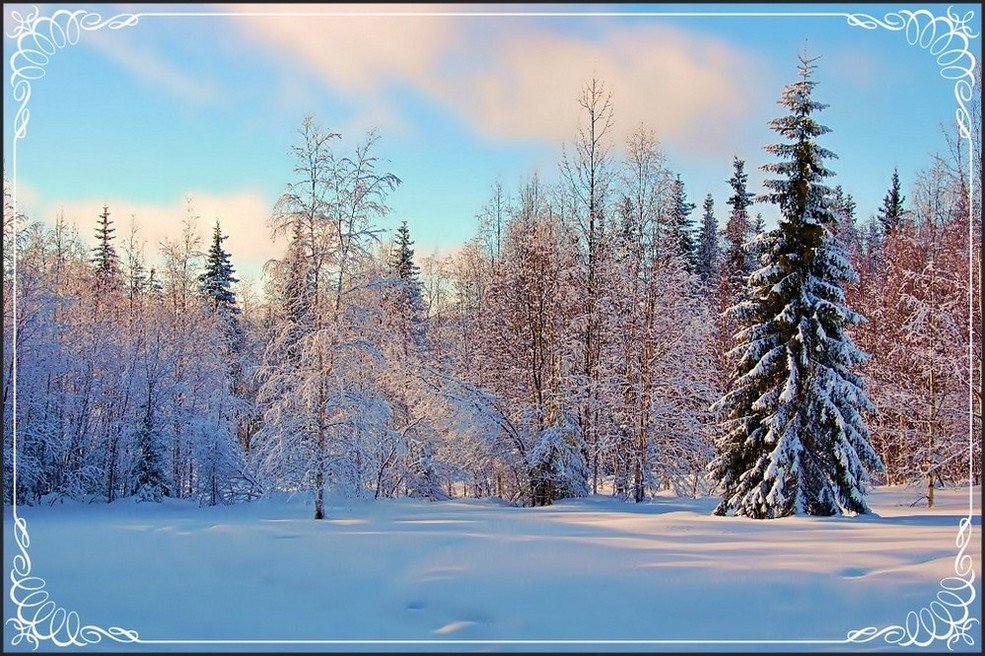 швеция,лапландия,зима,снег,заполярье,природа,пейзаж, Елена
