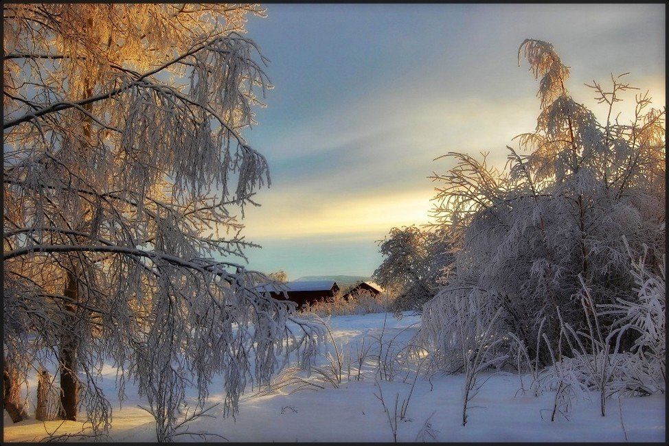 швеция,скандинавия,лапландия,зима,заполярье,снег,природа,пейзаж, Елена