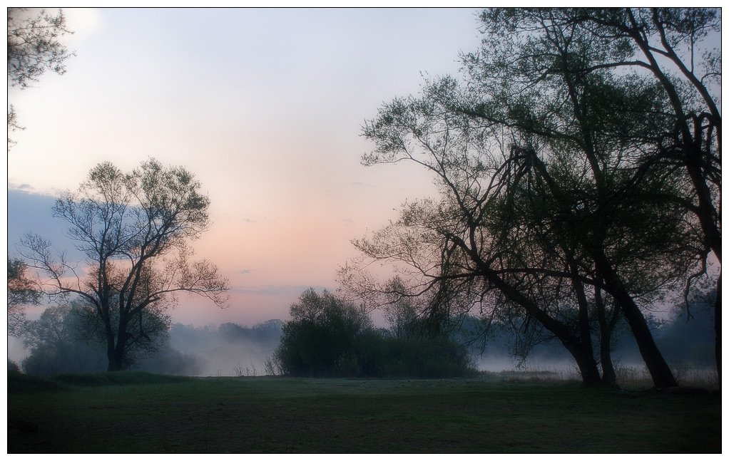 пейзаж, утро, туман, река, Юлия