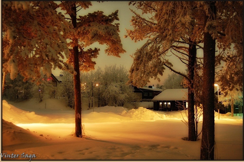 швеция,скандинавия,зима,пейзаж, Елена