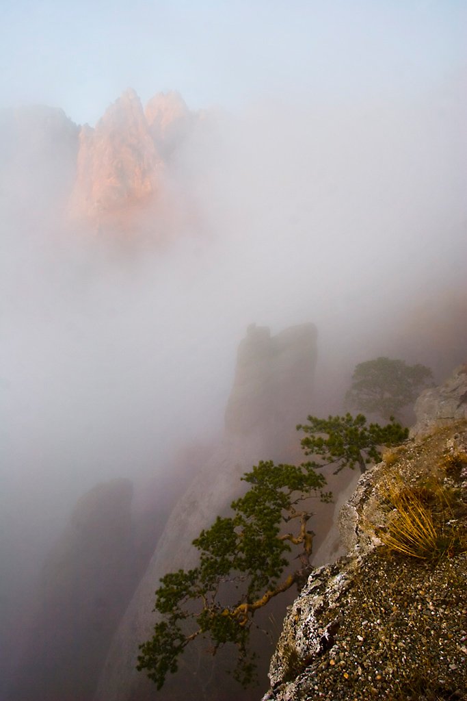 горы,туман,демерджи, Андрей  Золочевский