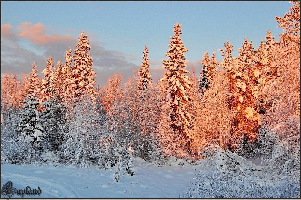 швеция,зима,скандинавия,пейзаж,лапландия,заполярье,сказка,природа, Елена