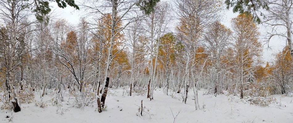 бурятия, улан-удэ, сентябрь, снег, снегопад, Олег Шубаров