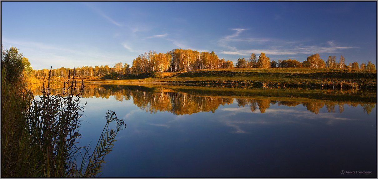 нсо, река, иня, осень, золото, отражение, аня графова, Аня Графова