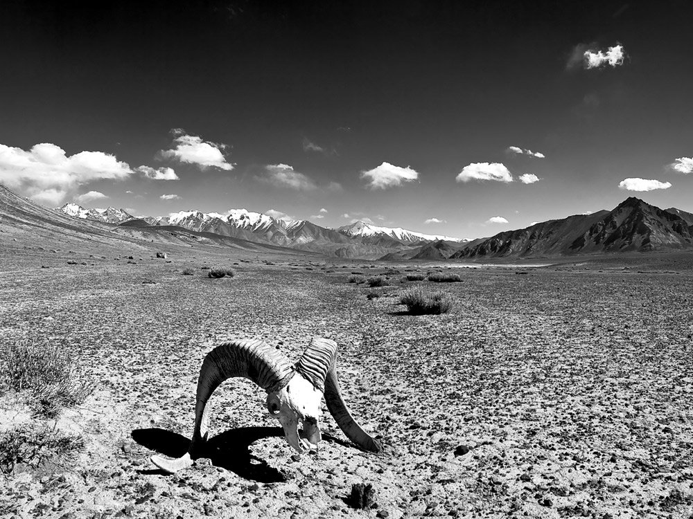 памир 2009, поход, высокогорная пустыня, Андрей Chogori Громов
