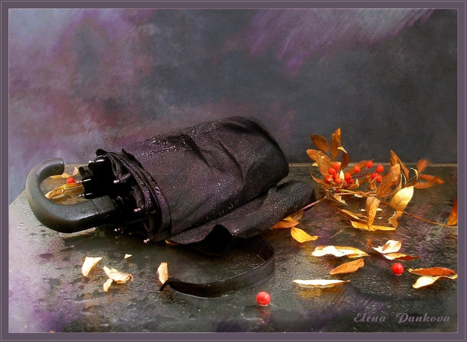 осень, дождь, зонт, листья, Elena Pankova