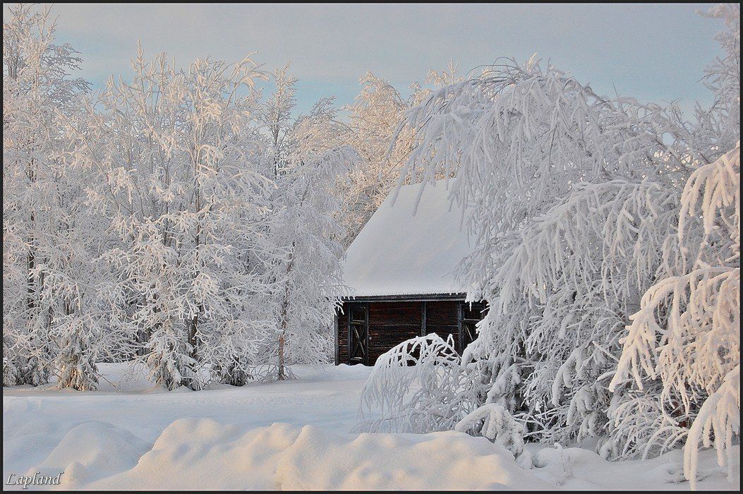 швеция,скандинавия,лапландия,заполярье,зима,снег,пейзаж, природа, Елена