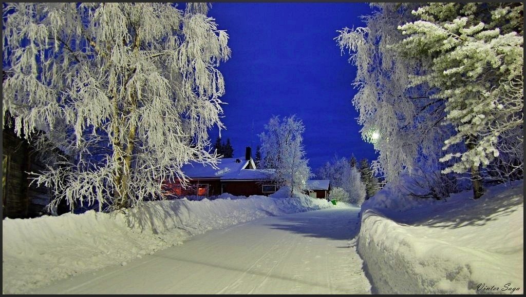 швеция,лапландия,скандинавия,заполярье,снег,зима,пейзаж,природа, Елена