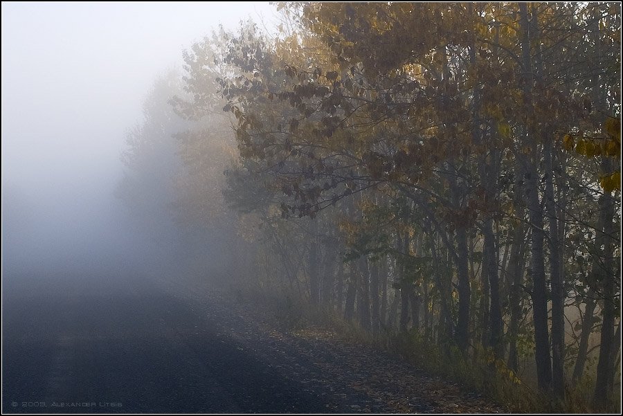 утро,осень,дорога,туман,камчатка, Александр Лицис