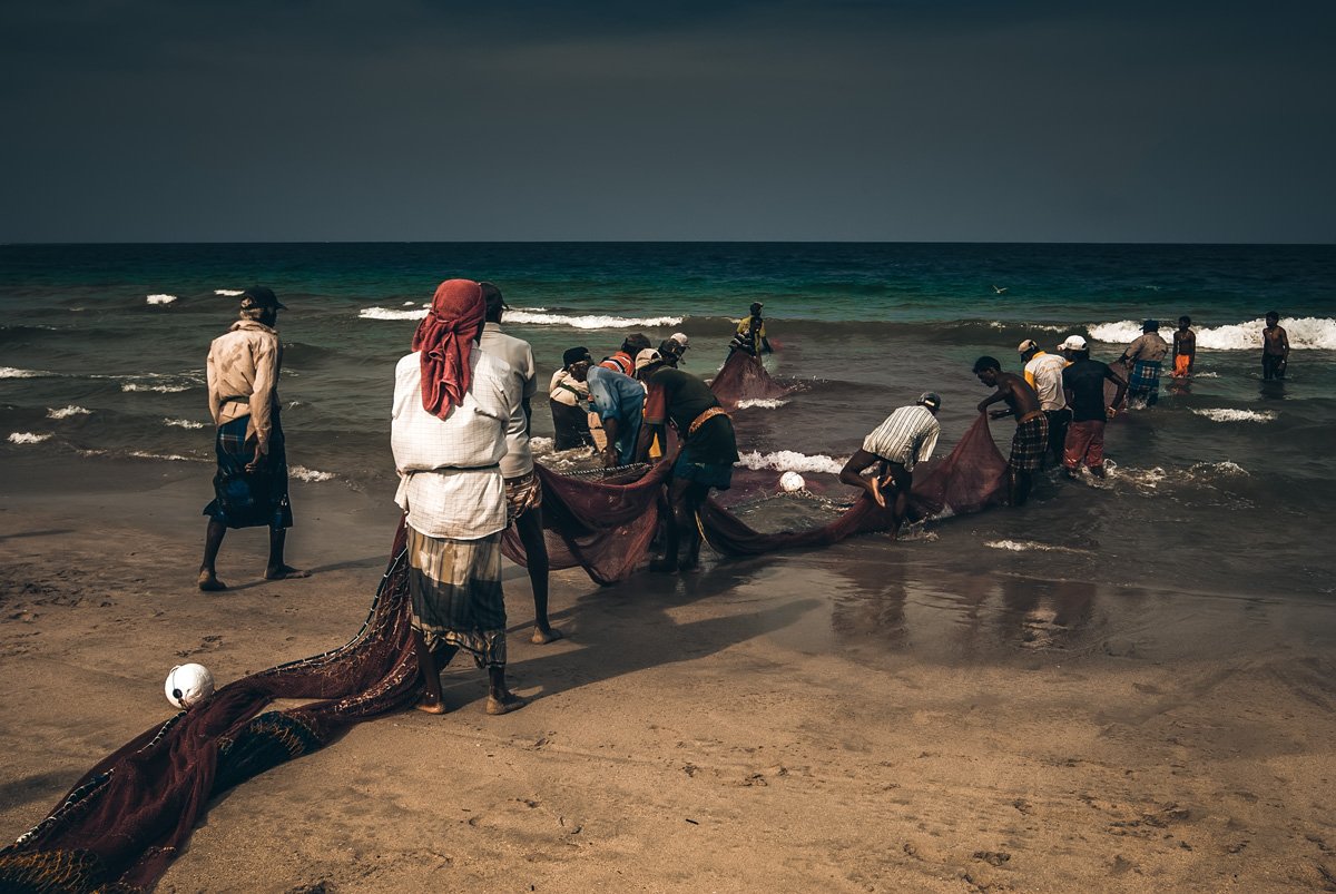 шри ланка, сеть, рыбалка, рыбаки, океан, апрель, sri lanka, ocean, net, fishing, fishermen, april, Дмитрий Тимошин