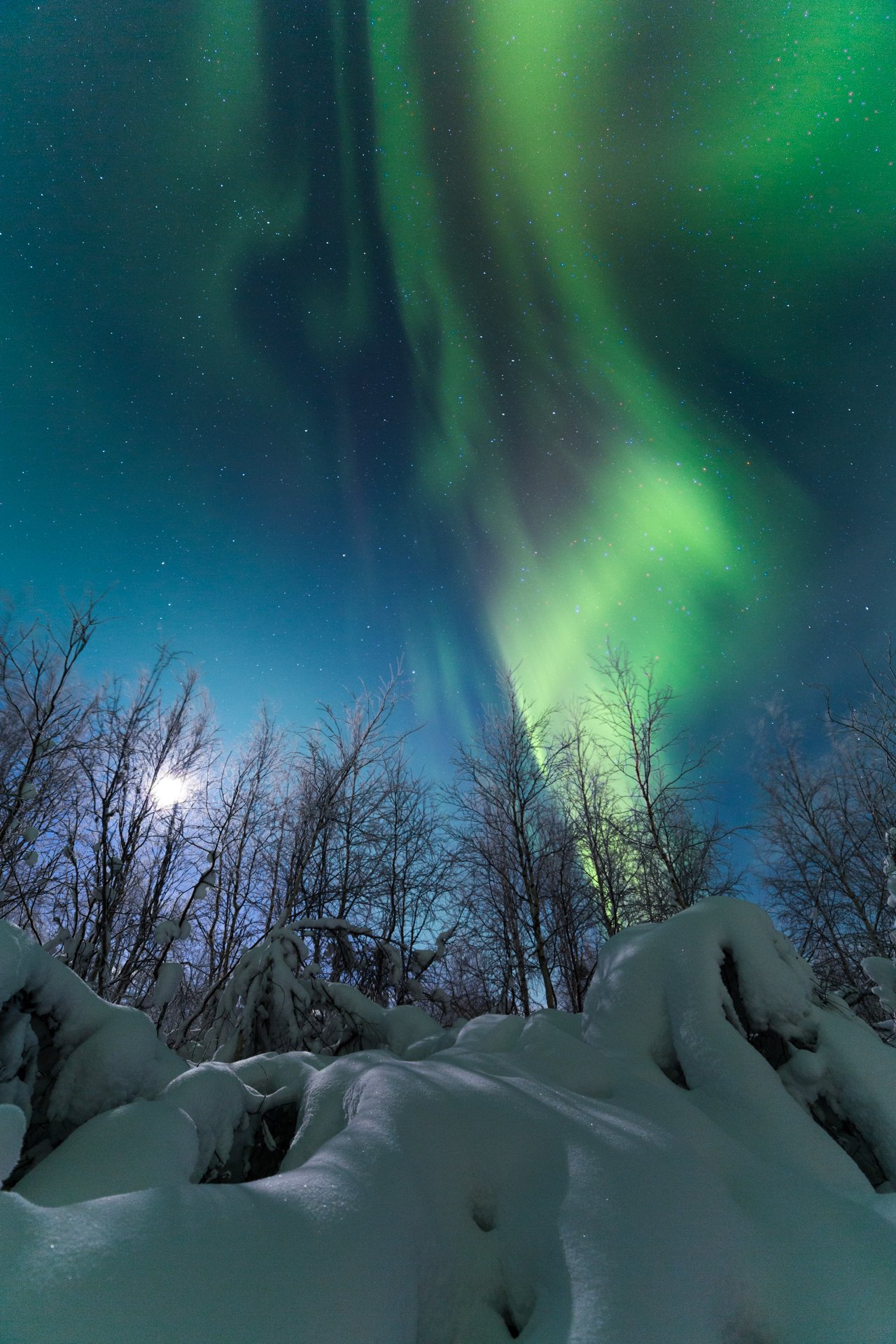 2014, aurora borealis, зима, сияние, ямал, Pavel  Evgrafov