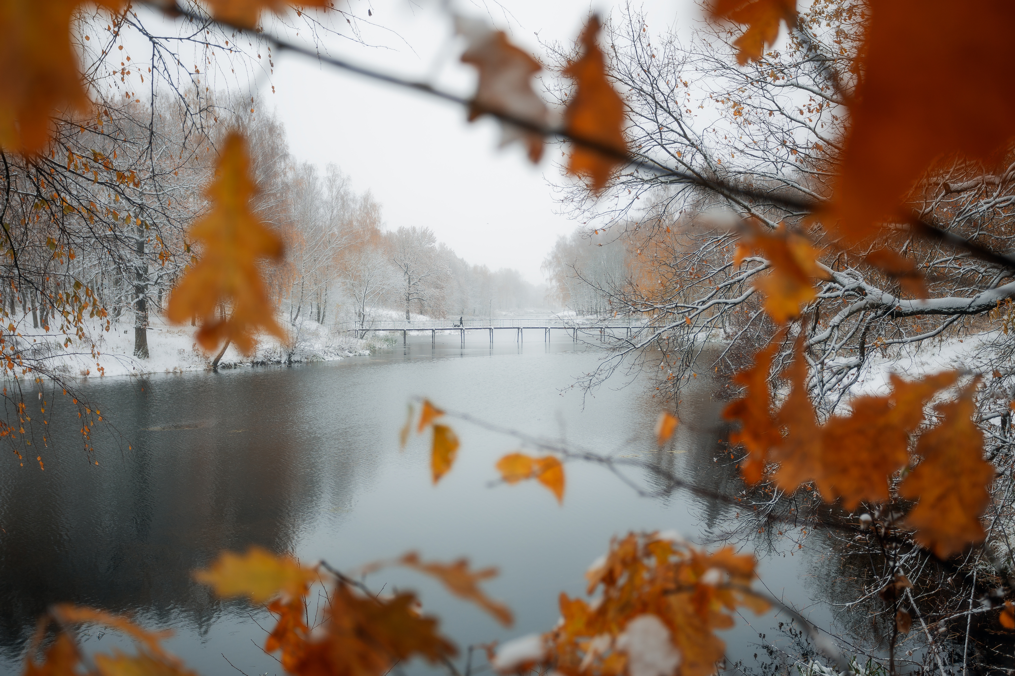 пейзаж, осень, зима, осенние листья, пришла зима, Московская область, природа, Мартыненко Дмитрий