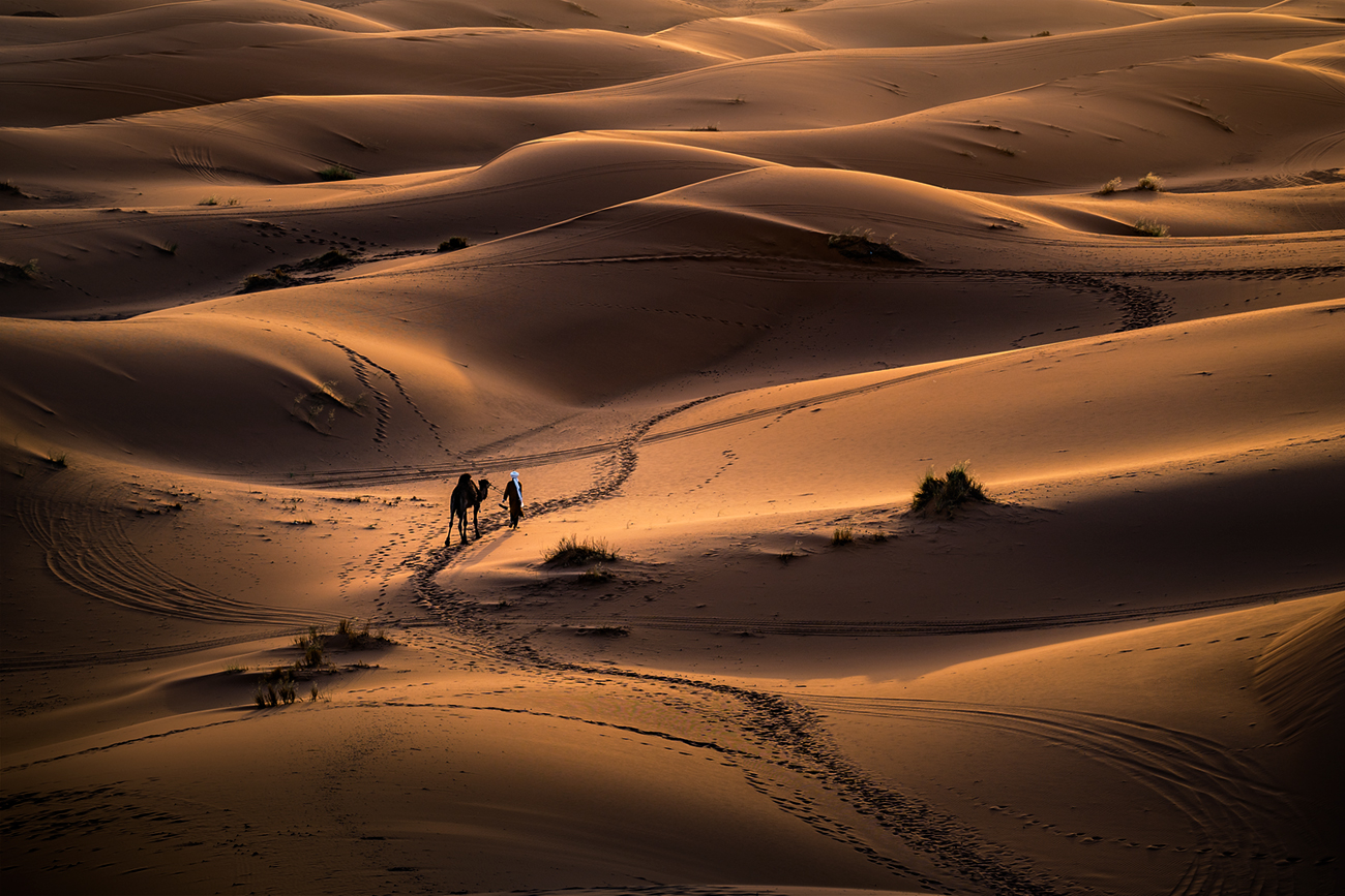 landscape nature scenery spring desert sahara sand berber bedouin sunset evening пейзаж закат пустыня, Александров Александър