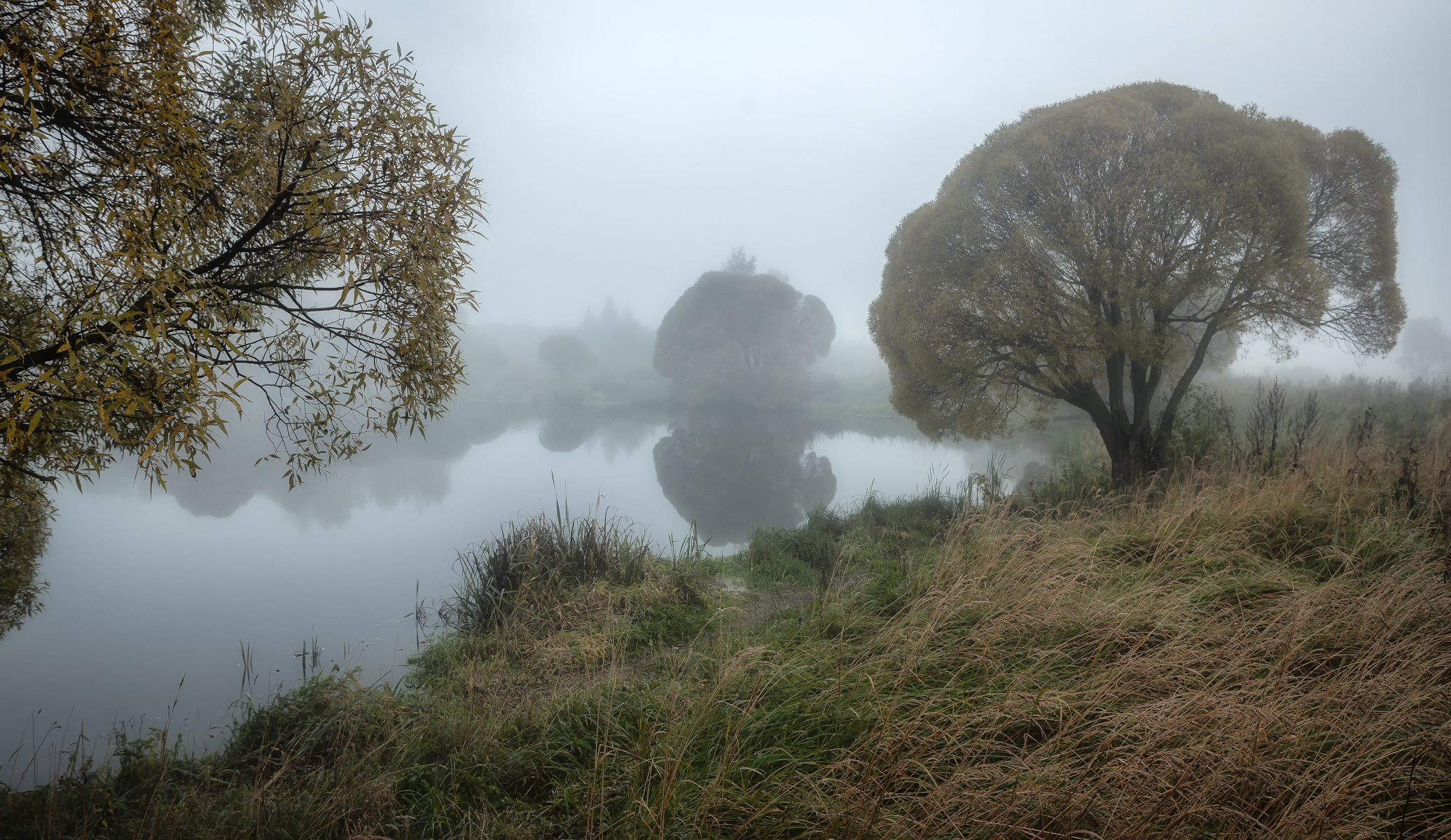 туман, озеро, ветла, утро, Сергей Аникин