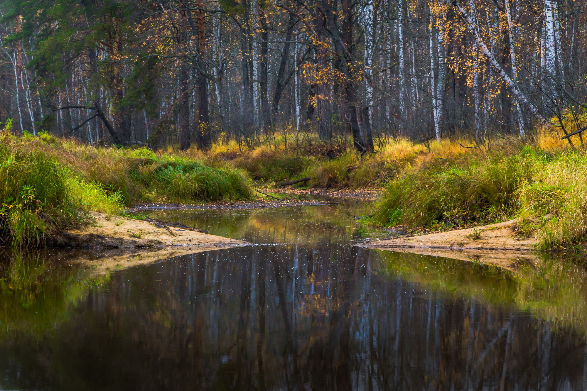 осень, река, лес, природа, пейзаж, Юрий Морозов