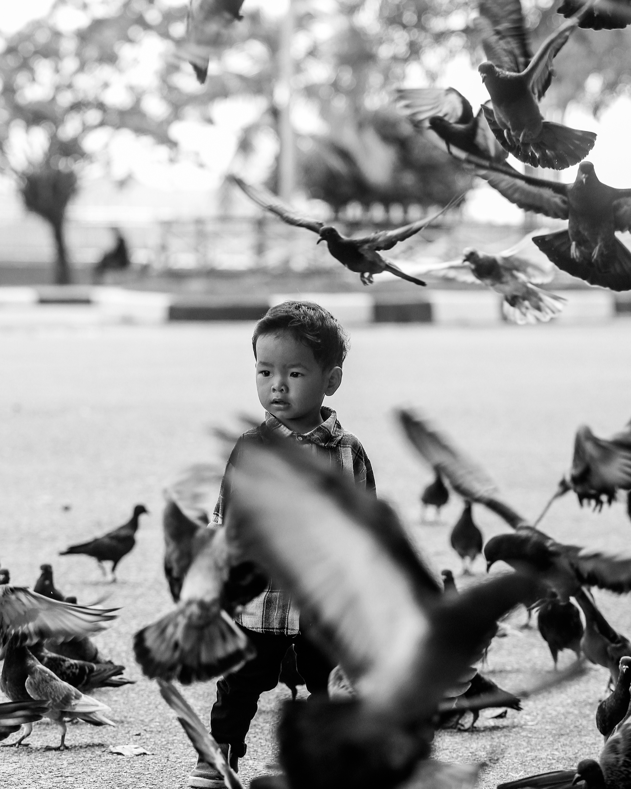 #pigeons #bird #children #portrait #blackwhite #street, Heri Wardana