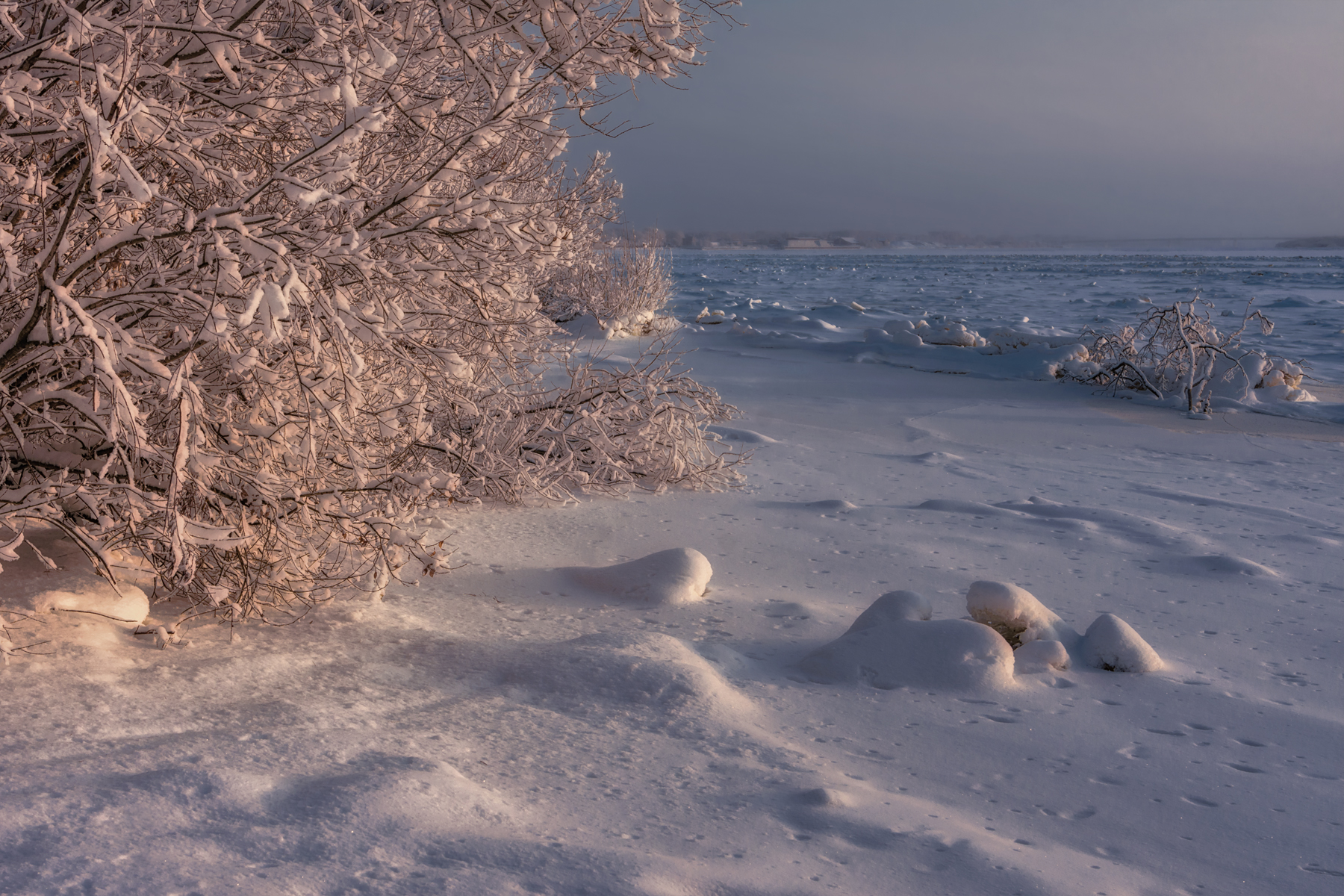 зима декабрь иней снег лёд мороз деревья кусты река берег северная двина архангельск, Вера Ра