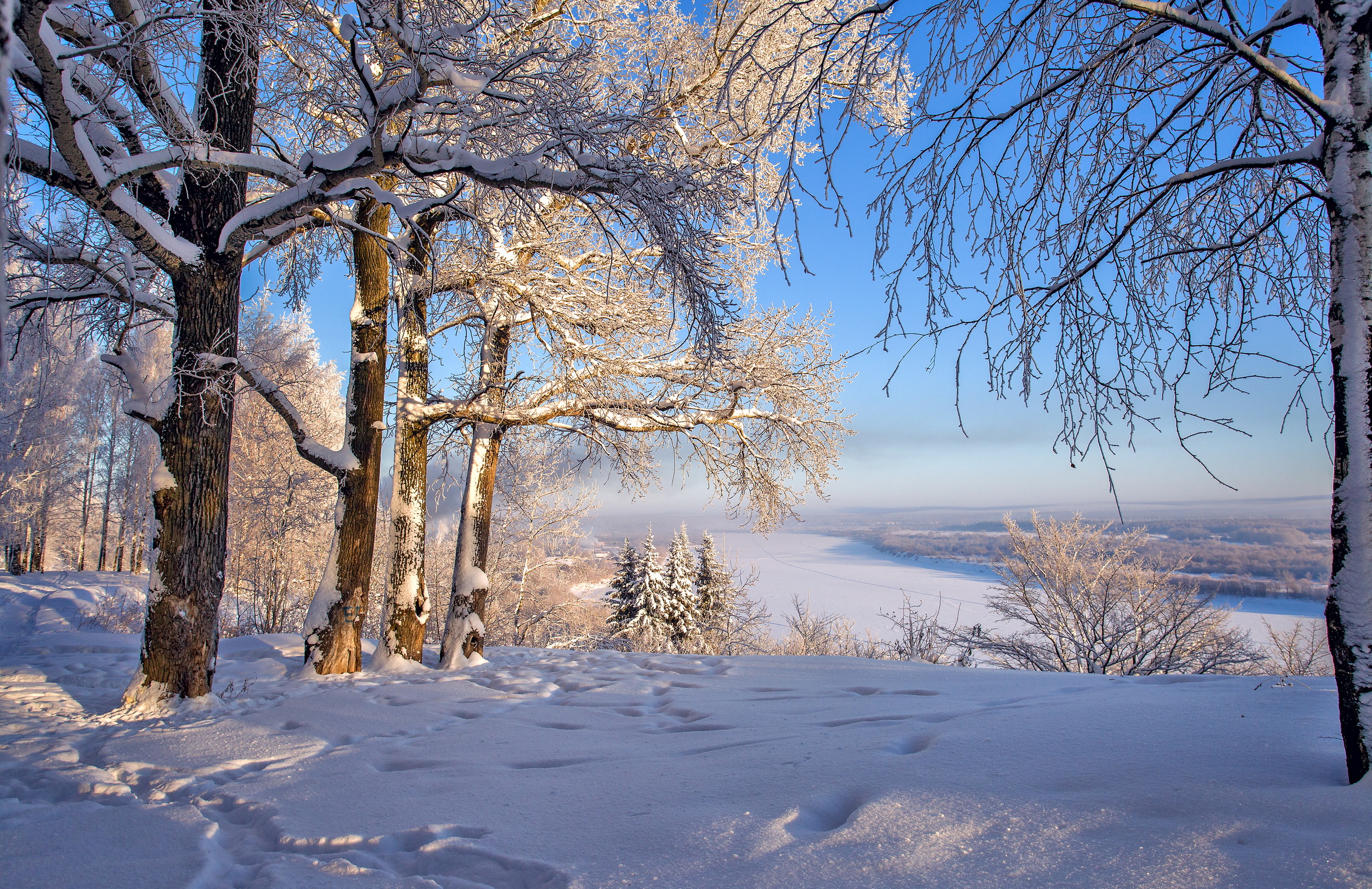 мороз, -35, река под снегом, деревья, зима, январь, Широких Александр