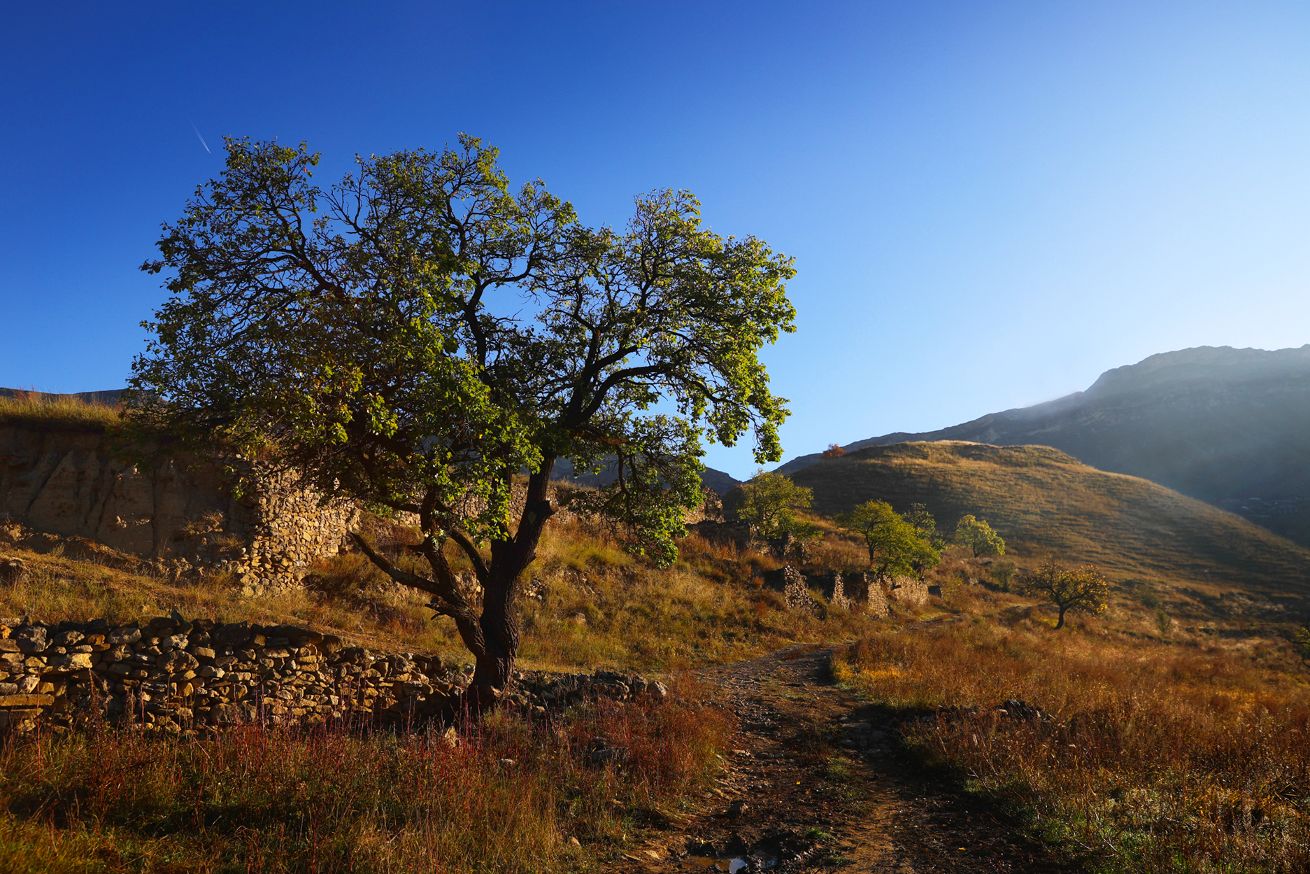 горы,осень,пейзаж,дагестан,, Magov Marat